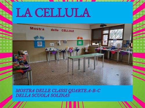  Mostra sulla cellula