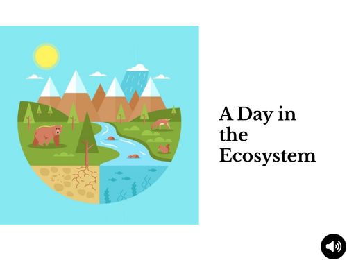 Book Creator | A Day in the Ecosystem