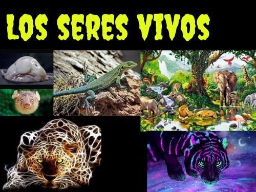 Los seres vivos