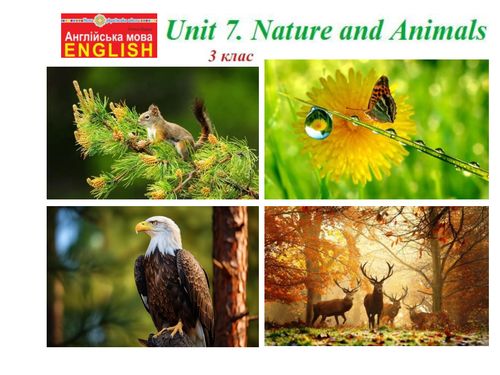 Nature and Animals