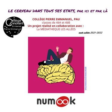 LeCerveauDansTousSesEtats