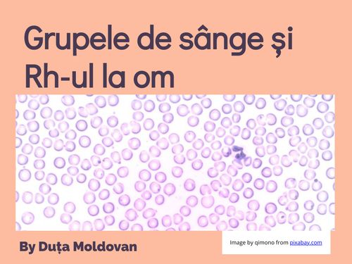 Grupele de sânge și Rh-ul la om