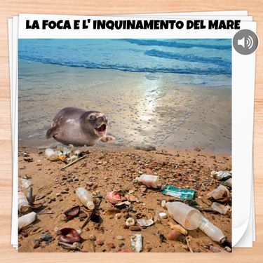 Book Creator | LA FOCA E L'INQUINAMENTO