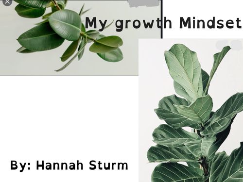 My growth mindset Journal 