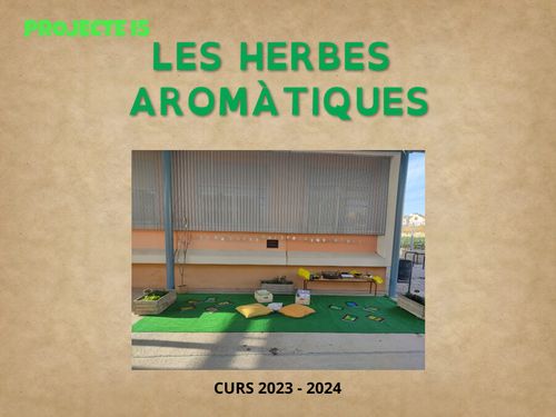 PROJECTE HERBES AROMÀTIQUES