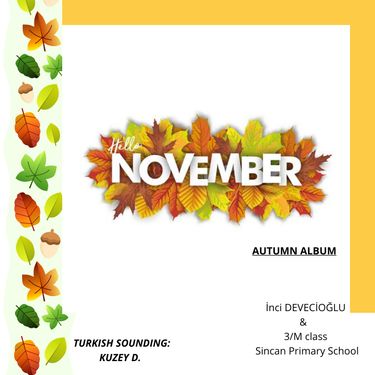 OUR NOVEMBER EVENT ALBUM