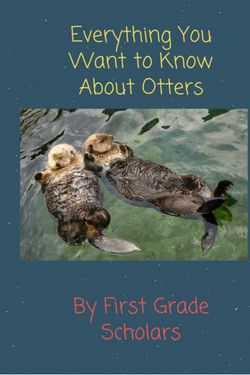 Everything You Want to Know About Otters