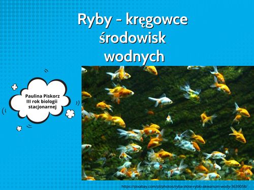 Ryby Kręgowce środowisk Wodnych Book Creator | ryby kręgowce środowisk wodnych klasa 6 szkoły podstawowej