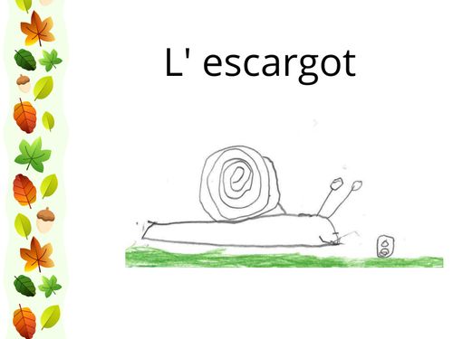 L'escargot