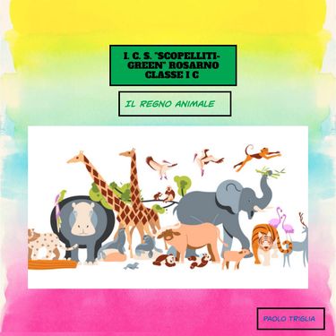 Engino STEAM Labs Toy Book - Imparare Gli Animali Selvatici, Gioco Educativo Per Bambini In Età Prescolare Con Realtà Aumentata