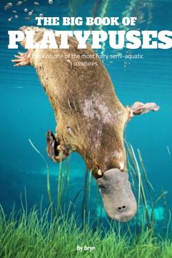 The Big Book of Platypuses