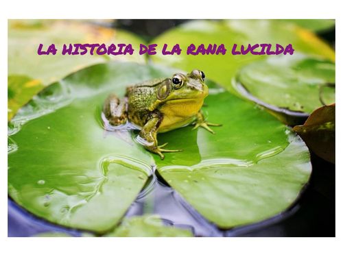 Book Creator | La historia de la Rana Lucilda