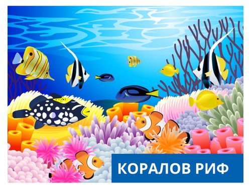 Коралов риф