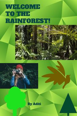 Amazon Rainforest Handbook