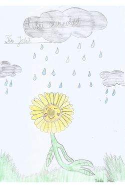 Kini suncokret - Tin Jela