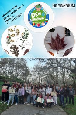 HERBARIUM MAKROCHORI / VERIA