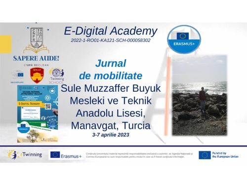 Jurnal mobilitate Erasmus (Turcia), Alex Năstase