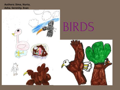Book Creator | BIRDS