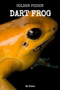 Golden Poison Dart Frog