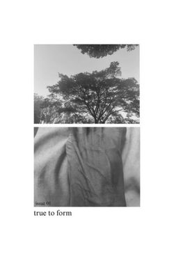 Book Creator | True to form