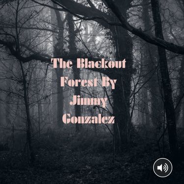 Book Creator | The Blackout Forest