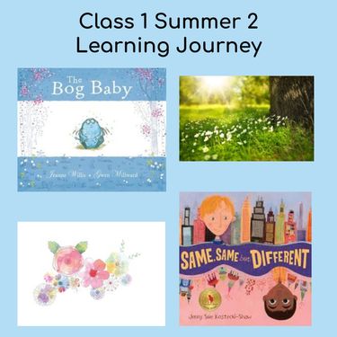 Class 1 Summer 2 Learning Journey