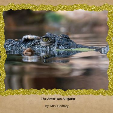 Book Creator | American Crocodile
