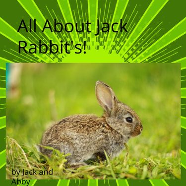 Book Creator | Jackrabbits
