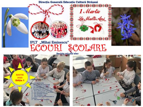 Revista Ecouri școlare