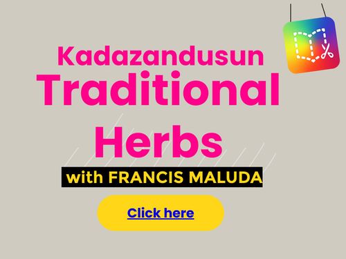 Kadazandusun Traditional Herbs 
