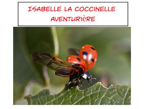 Book Creator Isabelle la coccinelle