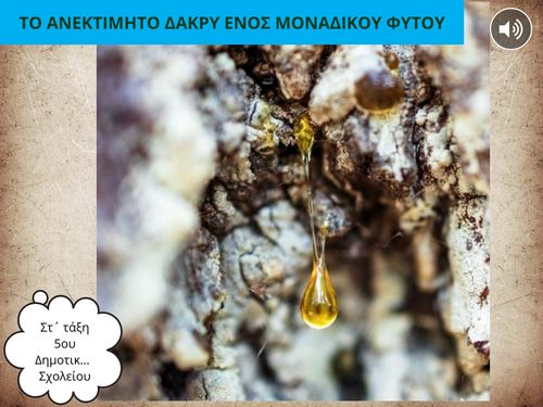 Το ανεκτίμητο δάκρυ ενός μοναδικού φυτού