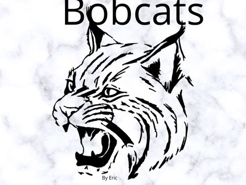 Book Creator | Bobcats