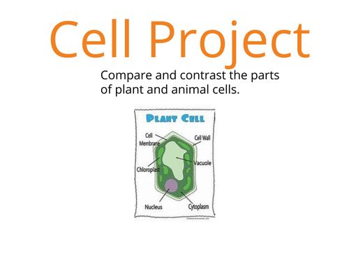 Book Creator - Cell Project
