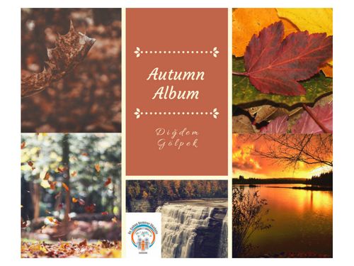 Autumn Album