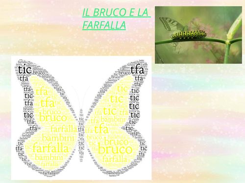 Book Creator  IL BRUCO E LA FARFALLA