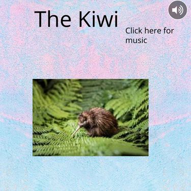 The Kiwi