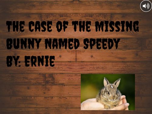 The Case of the Missing Bunny Named Speedy