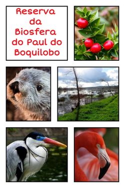 Paul do Boquilobo