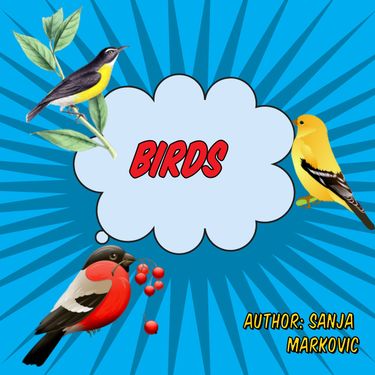 Book Creator | Birds