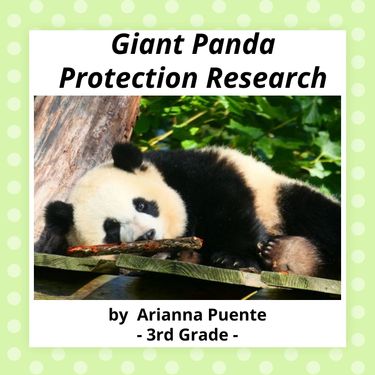 Book Creator | Giant Panda Protection Research